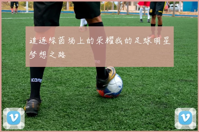 追逐绿茵场上的荣耀我的足球明星梦想之路