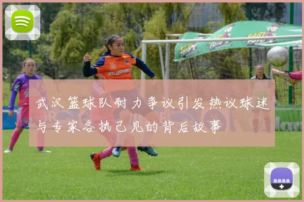 武汉篮球队耐力争议引发热议球迷与专家各执己见的背后故事