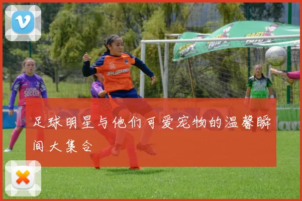 足球明星与他们可爱宠物的温馨瞬间大集合