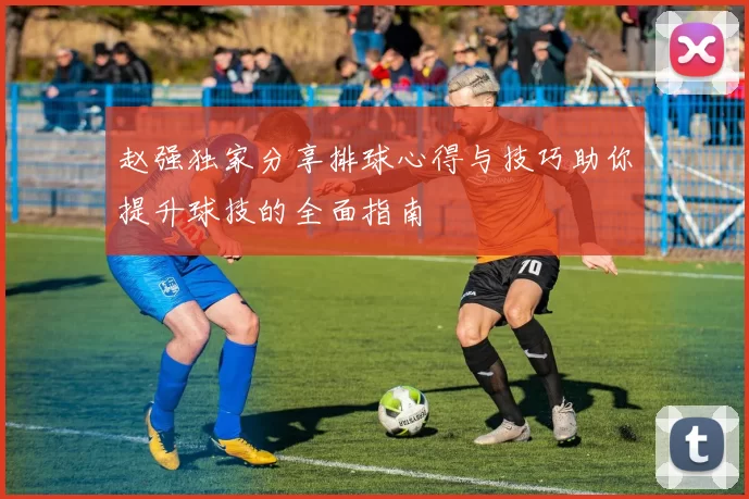 赵强独家分享排球心得与技巧助你提升球技的全面指南