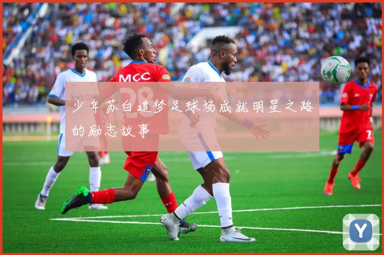 少年苏白追梦足球场成就明星之路的励志故事