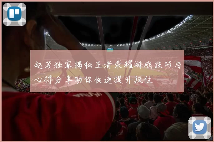 赵芳独家揭秘王者荣耀游戏技巧与心得分享助你快速提升段位