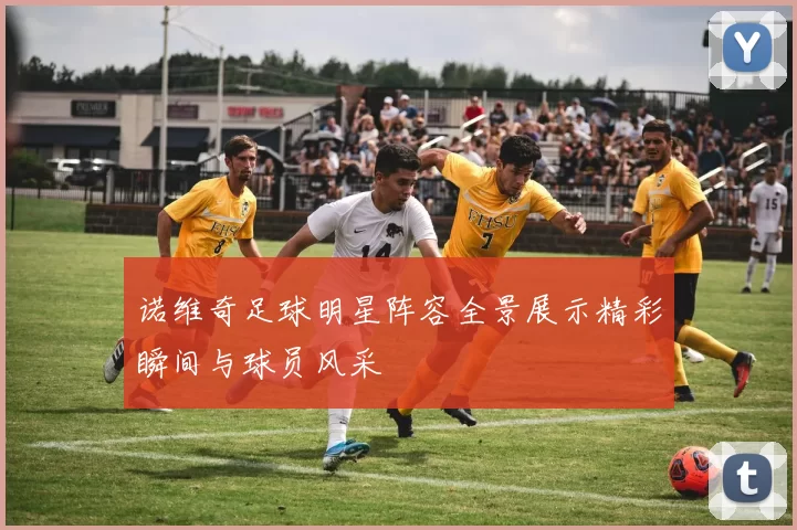 诺维奇足球明星阵容全景展示精彩瞬间与球员风采