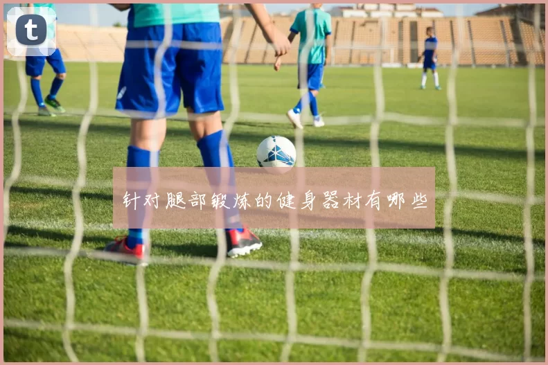 针对腿部锻炼的健身器材有哪些