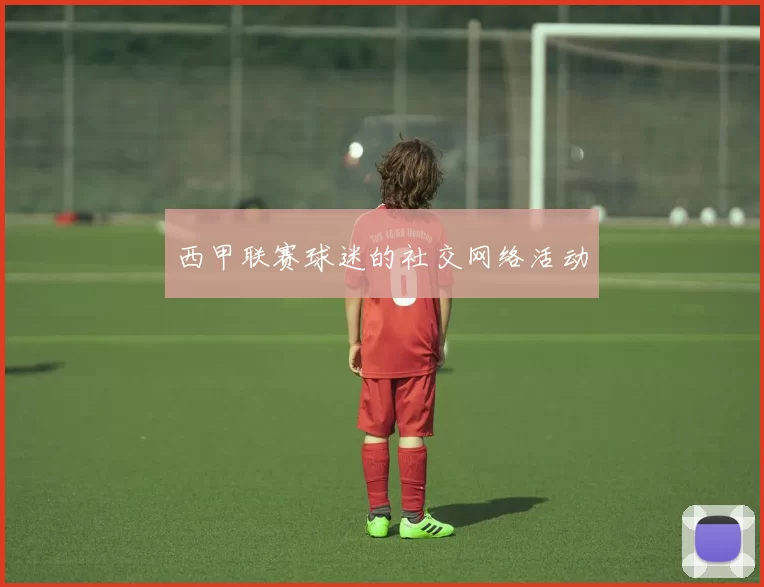 西甲联赛球迷的社交网络活动