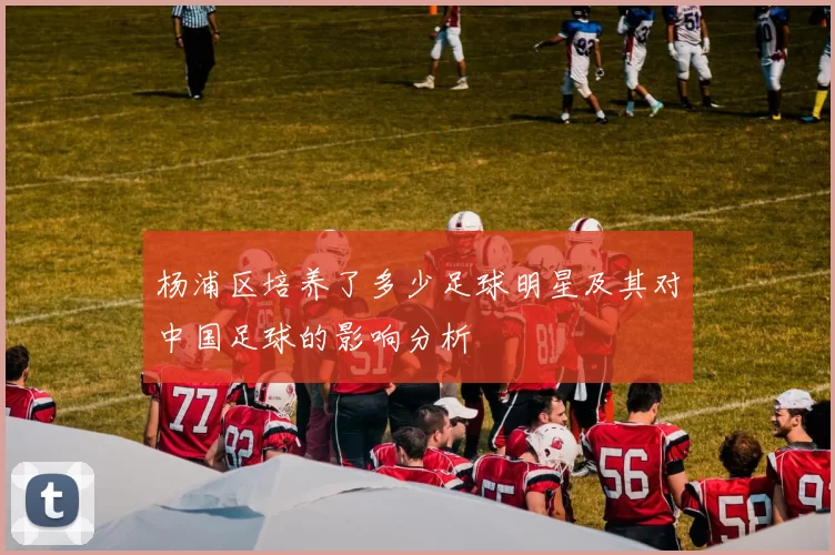 杨浦区培养了多少足球明星及其对中国足球的影响分析
