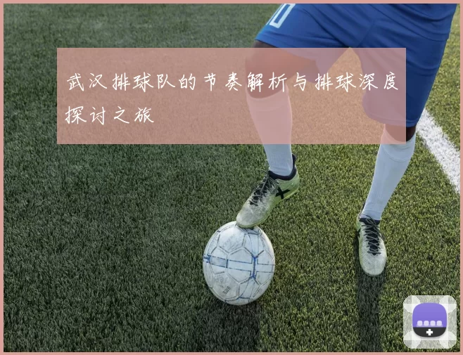 武汉排球队的节奏解析与排球深度探讨之旅